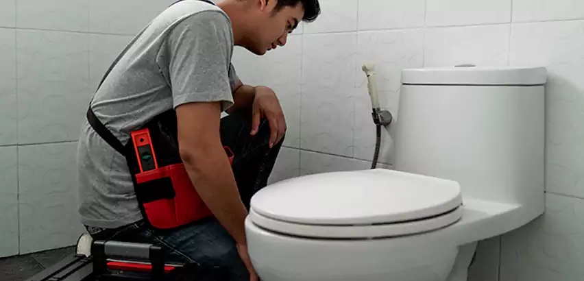 Toilet Repair in Newark