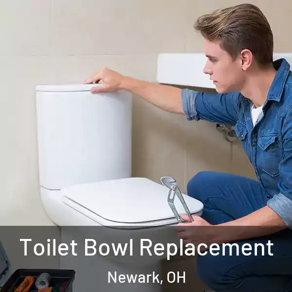  Toilet Bowl Replacement Newark, OH