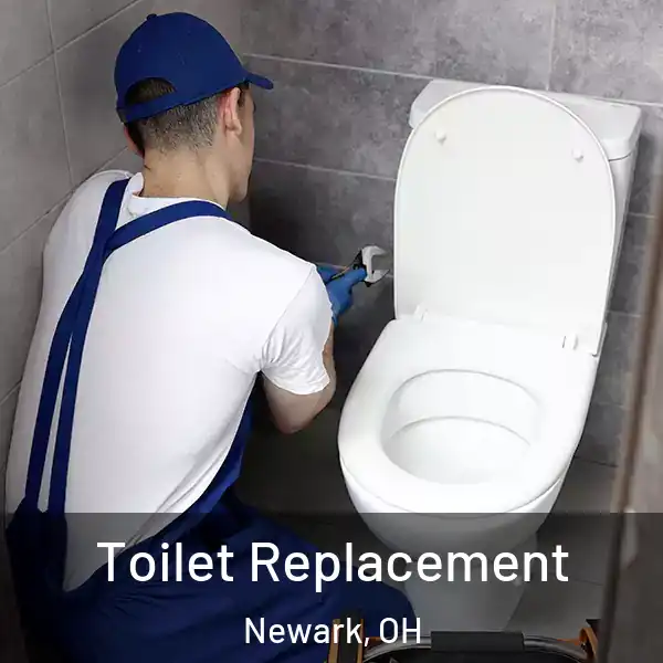  Toilet Replacement Newark, OH